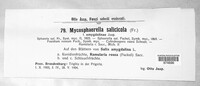 Mycosphaerella salicicola image